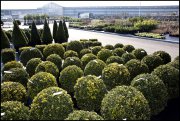 vvbvanbree bloemen en planten j  3164
